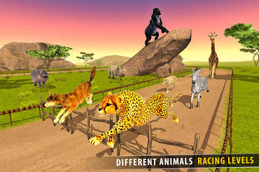 la savane des courses d'animaux 3D screenshot 12