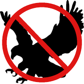 Bird Stop icon