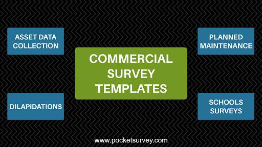 PS Mobile/PocketSurvey/Pocket Survey for Surveyors screenshot 1
