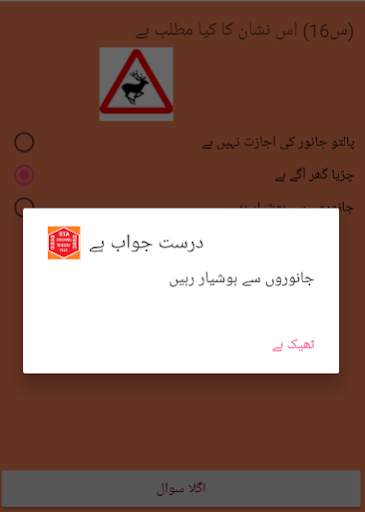 RTA Theory Test screenshot 6