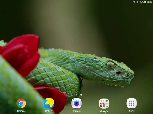 Snake Live Wallpaper screenshot 9