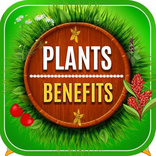 Medicinal Plants and their Benefits 4.1