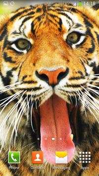 Tiger Live Wallpaper screenshot 9