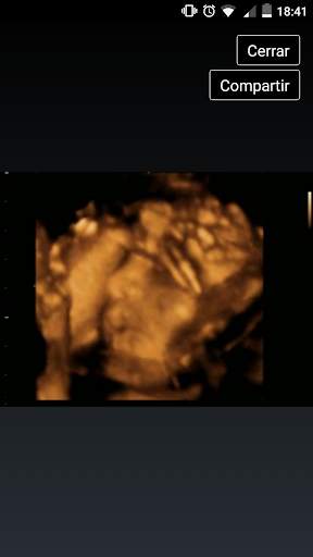 Ecobaby Mobile screenshot 3