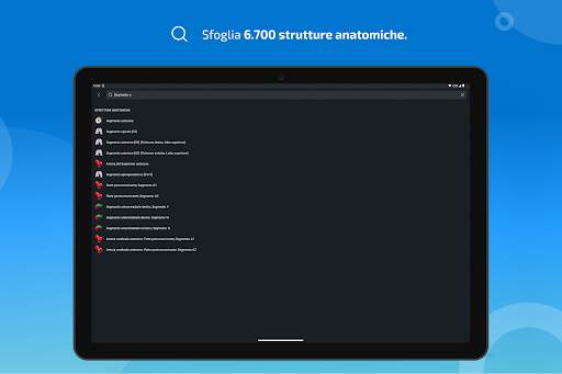 e-Anatomy screenshot 11