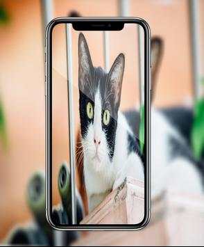 HD Camera Pro - Hd Photo For iphone X screenshot 1