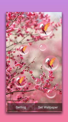 Sakura Live Wallpaper screenshot 4
