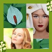 Calla Photo Collage Maker logo