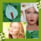 Calla Photo Collage Maker 1.3