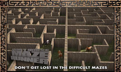 Pony Horse Maze Run Simulator screenshot 4