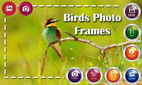Birds HD Photo Frames and Live Wallpapers screenshot 5