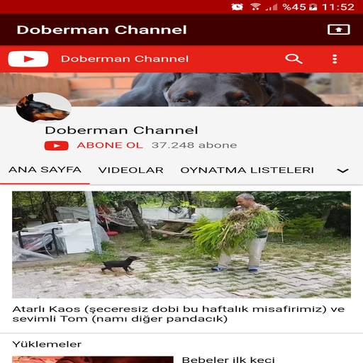 Doberman Channel 1.0