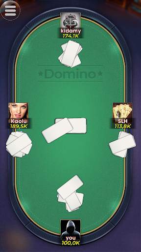 Domino screenshot 5