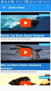 Shark Videos in HD screenshot 2