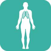Human Body Anatomy 1.5
