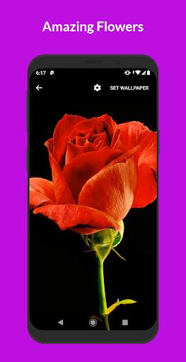 VideoHub - Video Live Wallpapers screenshot 4
