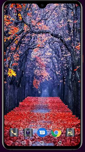 Autumn Wallpaper 4K Latest screenshot 4