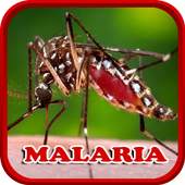 Malaria Disease Solution 1.0.0