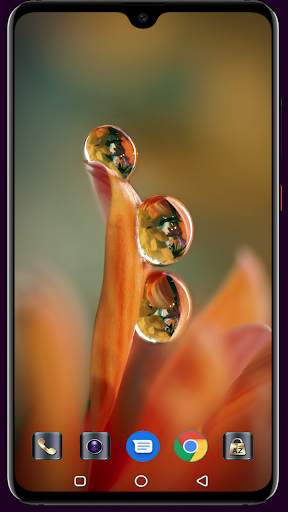 Water Drops Wallpaper screenshot 12
