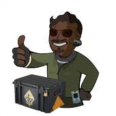 Cs go case 1.0.0