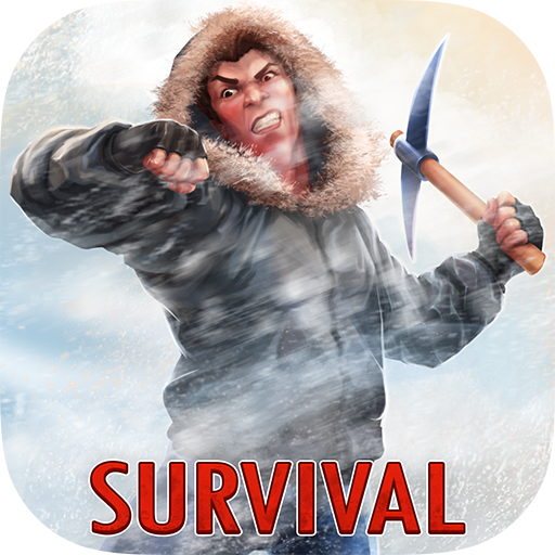 Island Survival 3D WINTER icon
