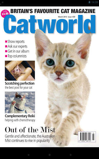 Cat World screenshot 1