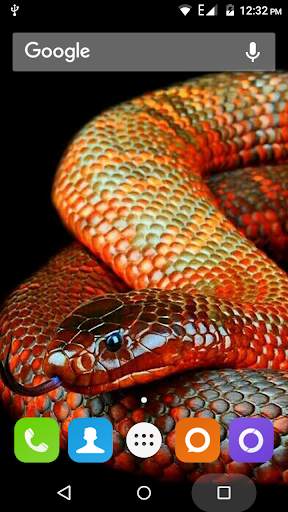 Snake Hd Wallpaper screenshot 1