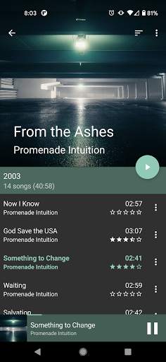 GoneMAD Music Player Unlocker screenshot 7
