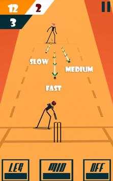 World Cricket Stickman championship: ball & runs screenshot 3