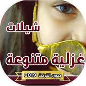 شيلات غزلية متنوعة 2019 on 9Apps