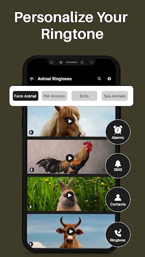 Animal Ringtones & Bird Sounds screenshot 3