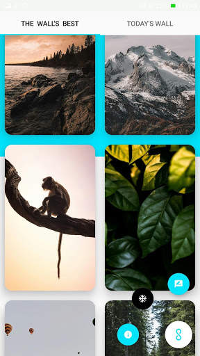 THE WALL - wallpaper app screenshot 7