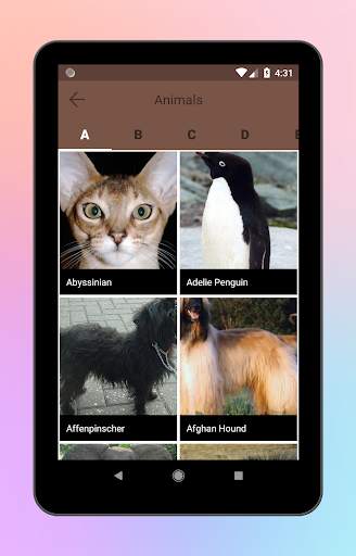 Animal World A-Z Collections screenshot 14