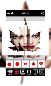 3D MirrorPic - DSLR Camera Photo screenshot 3