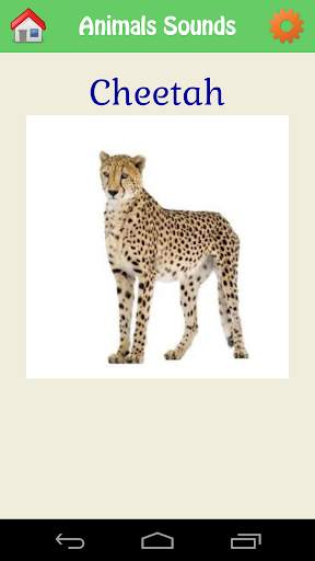 Animal Kingdom screenshot 7